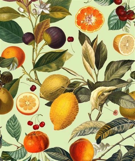 Burcu Korkmazyürek On Instagram Vintage Fruits Pattern Xiii Society6