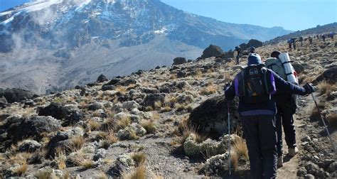 Les 10 meilleurs circuits Mont Kilimandjaro à faire en 3 Jours TourRadar