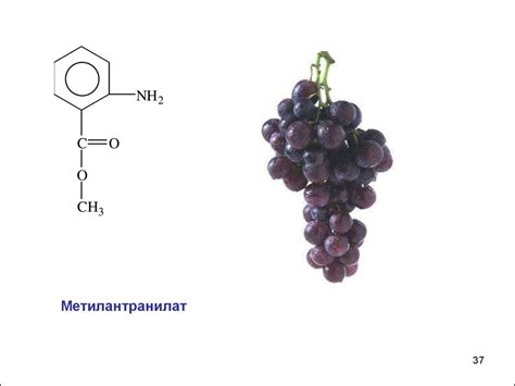 Гидролиз - презентация онлайн