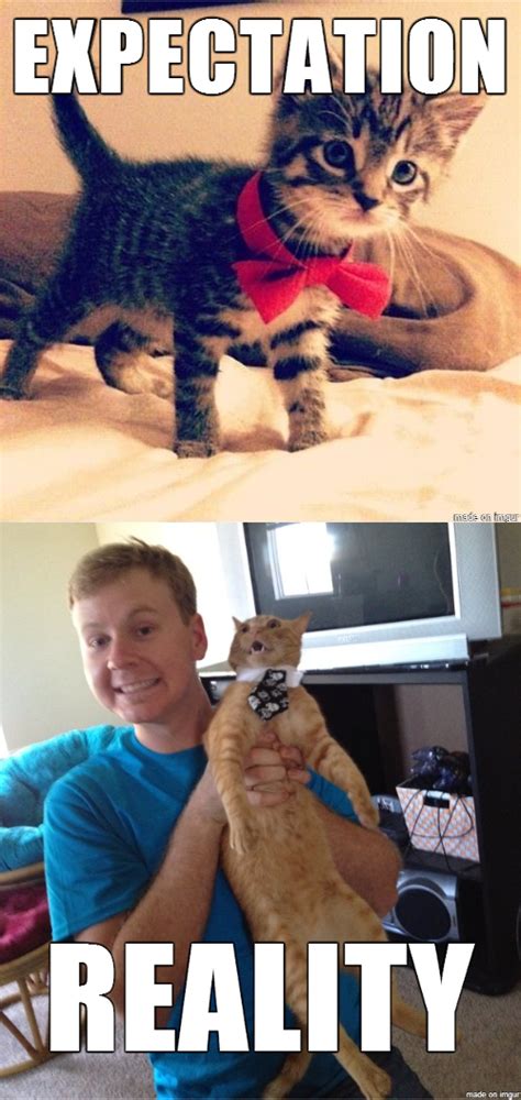 expectation  reality meme guy
