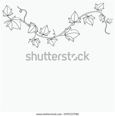 Simplicity Ivy Freehand Drawing Flat Design Images Stock Photos