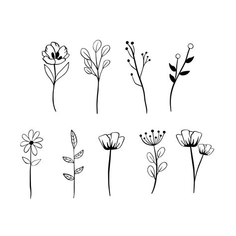 Black Line Doodle Long Stem Flowers On White Background Vector