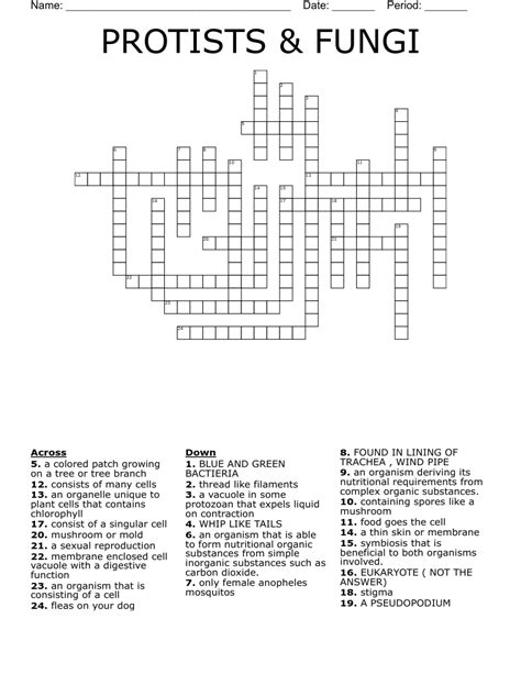 Protists Fungi Crossword Wordmint