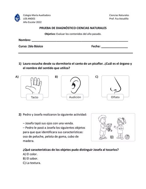 Prueba de diagnóstico 2 básico Ciencias Naturales profe social