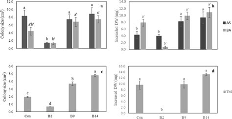 Fungal Growth Colony Size A C And Increased Dry Weight Biomass B