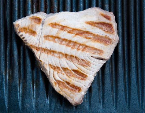 Tuna Steak Cooking on a Grill Stock Photo - Image of lunch, fried: 20155240