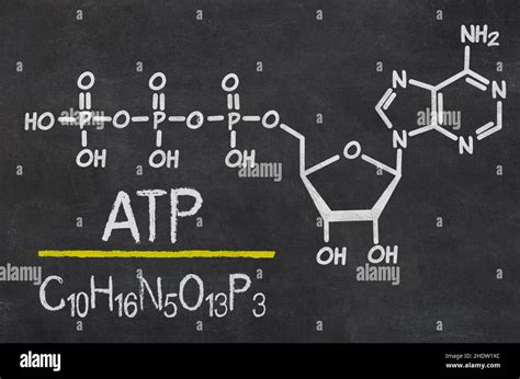 Formula Adenosine Triphosphate Atp Formulas Stock Photo Alamy