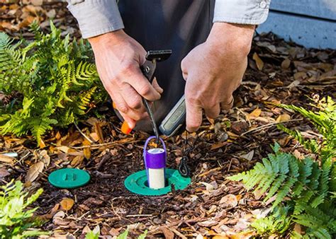 Ultimate Guide To Sentricon Termite Bait Stations Termitehq