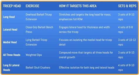 Best Barbell Tricep Exercises for Strength & Size