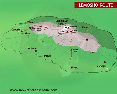 8 Days Lemosho Route Kilimanjaro Trekking Tours