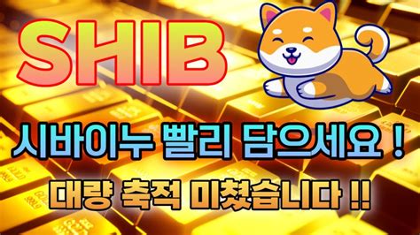 시바이누 코인 빨리 담으세요 대량 축적 미쳤습니다요 시바이누 시바이누코인전망 시바이누코인호재 시바이누분석