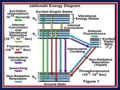 Fluorescence And Phosphorescence Ppt