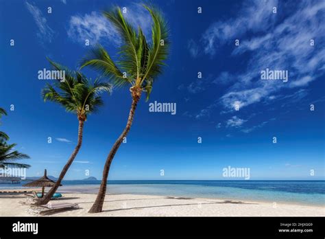 Tropical White Sand Beach With Coco Palms And The Turquoise Sea On