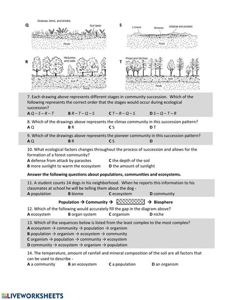 Ecological Succession Worksheet High School Artofit