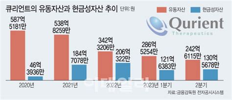 큐리언트 “조만간 자금조달 추진”적자 지속 탓 팜이데일리