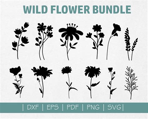 Embellishments Scrapbooking Wildflowers Svg Bundle Hand Drawn