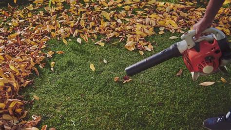 Ban On Gas Powered Leaf Blowers In Seattle A Possibility By 2027