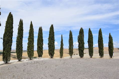 Luoghi Da Fare E Vedere In Val D Orcia Idee Consigli E Itinerari