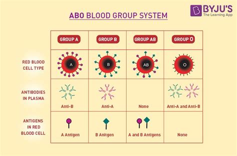 Interesting Facts About Blood Groups – ABO Type