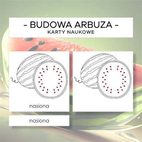 Budowa Arbuza Karty Naukowe Szt Materia Y Montessori Karty