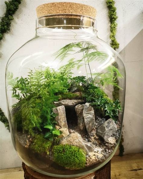 Brilliant Ideas For Adorable Diy Terrariums Artofit