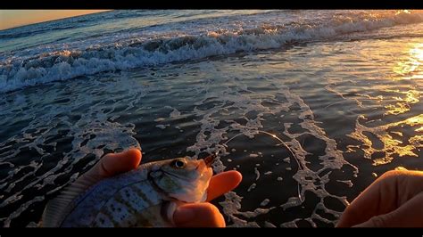 California Surf Perch Fishing Sunset Session In Malibu Youtube