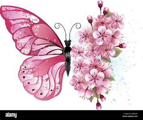 A pink butterfly with pink flowers isolated on white background Stock ...