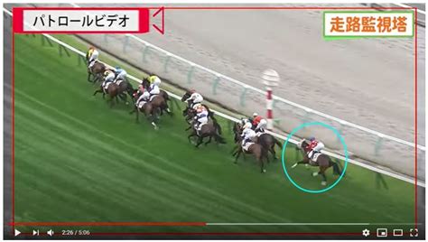 【新潟記念・小倉2歳s】vol3 回顧 推理競馬