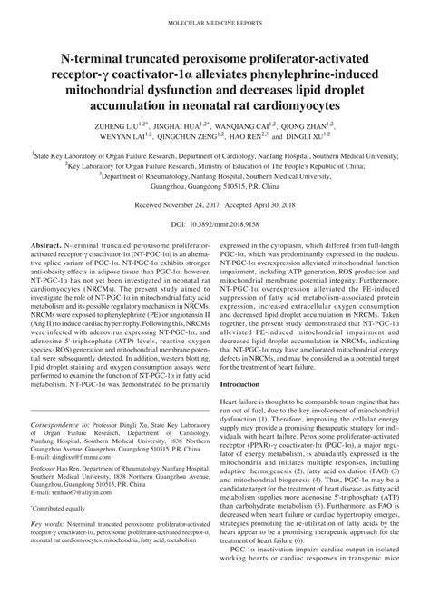 (PDF) N-terminal truncated peroxisome proliferator-activated receptor ...