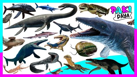 ANIMALES MARINOS PREHISTÓRICOS PARTE 2 Prehistoric Sea Animals