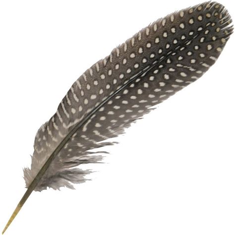 Perlička: peří na čelenky