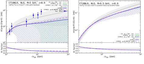 Total inclusive photoproduction cross sections of J ψ left panel and