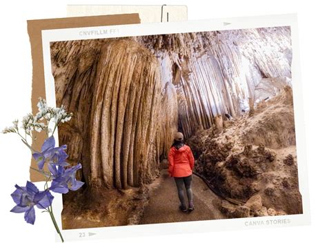 Carlsbad Caverns King's Palace Tour: What to Expect - Live That Adventure