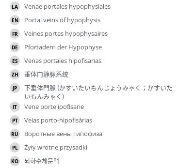 Portal veins of hypophysis - e-Anatomy - IMAIOS