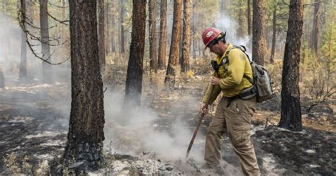 Thousands displaced by Oregon wildfire that has burned an area larger ...