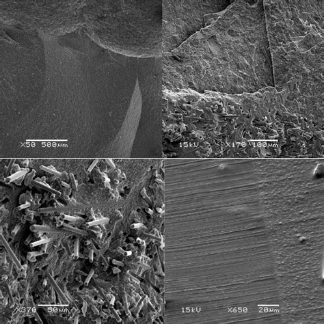 SEM Photomicrographs With Different Magnifications Of Fracture Surfaces