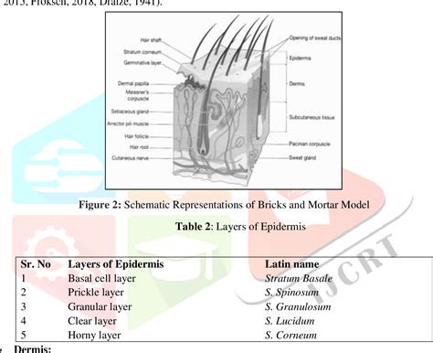 Figure 2 From A REVIEW ON TRANSDERMAL DRUG DELIVERY SYSTEM Semantic