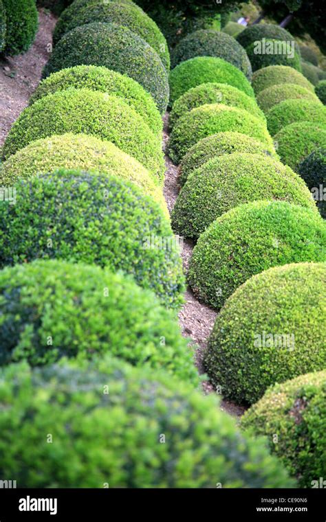 The Gardens at Chateau D'Amboise Loire Valley France Stock Photo - Alamy