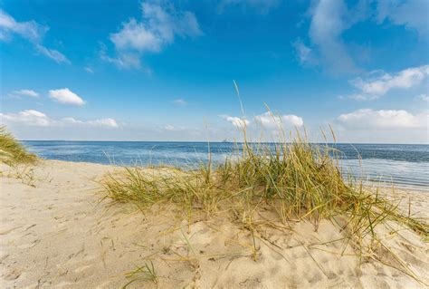 Jetzt Bestellen Fototapete Düne Am Meer Bei Sonnenschein