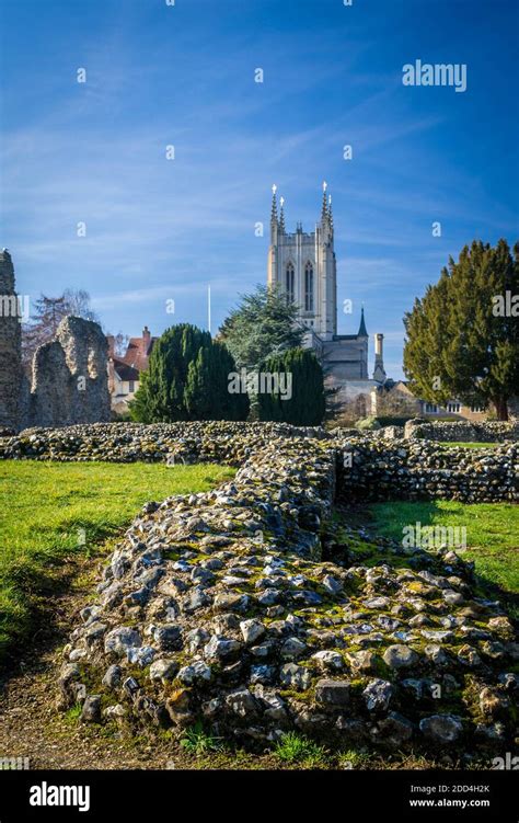 Abbey gardens in Bury St Edmunds Suffolk England Stock Photo - Alamy