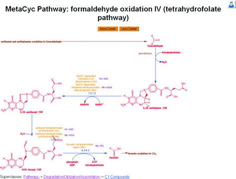 A Representative Example Of A Pathway In Metacyc Pathways Can Be Download Scientific Diagram