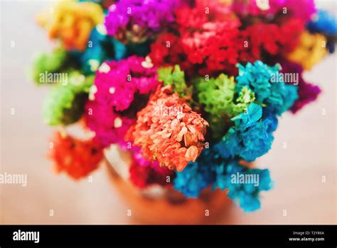 Mexican Flowers, colorful mexico Stock Photo - Alamy