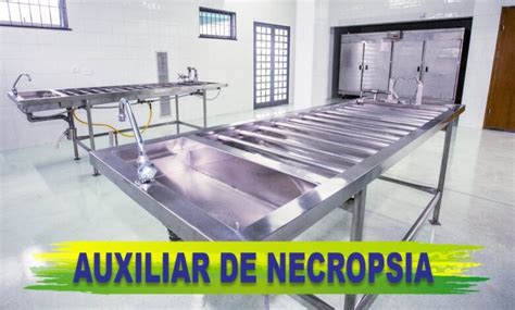 O Que Faz Um Auxiliar De Necropsia