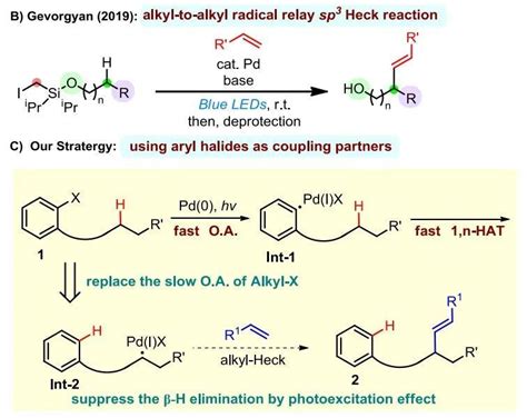 光诱导下 Pd 催化远程烷基 Heck 反应最新进展 知乎