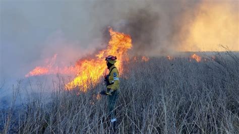 Un Video Prueba Que Los Incendios En El Delta Del Paraná Fueron