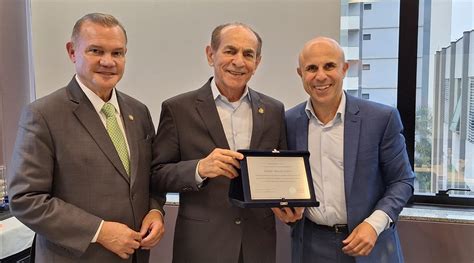 C Ncer De Vulva E Vagina Instituto Vencer O C Ncer