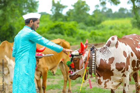 young indian farmer celebrating pola festival Stock Photo | Adobe Stock