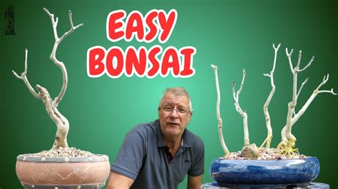 The EASIEST Way To Make An Ash Bonsai YouTube