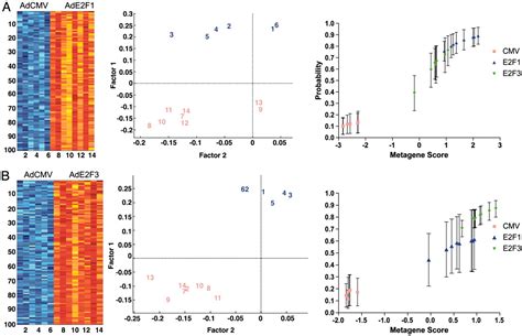 Distinctions in the specificity of E2F function revealed by gene ... 