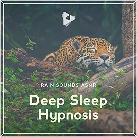 Deep Sleep Hypnosis Rain Sounds Asmr The Rain Library